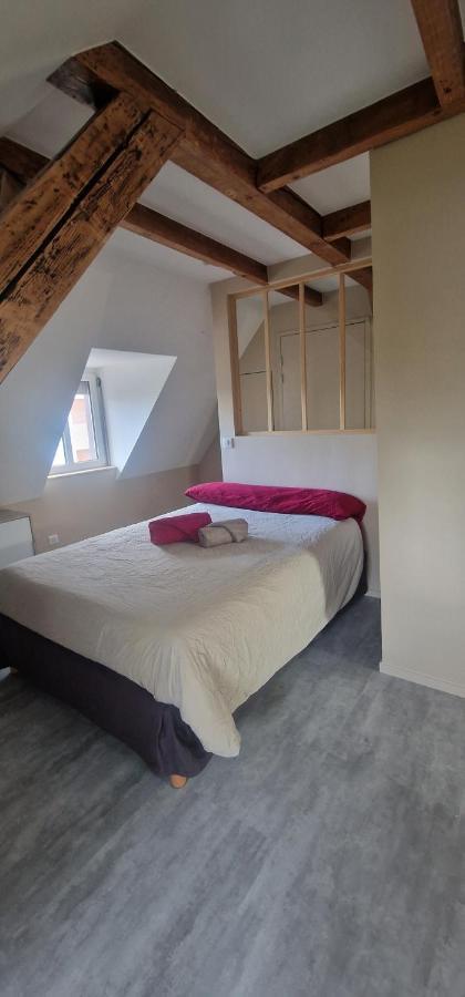 Henner Des Trois Frontieres Apartment Saint-Louis  Bagian luar foto